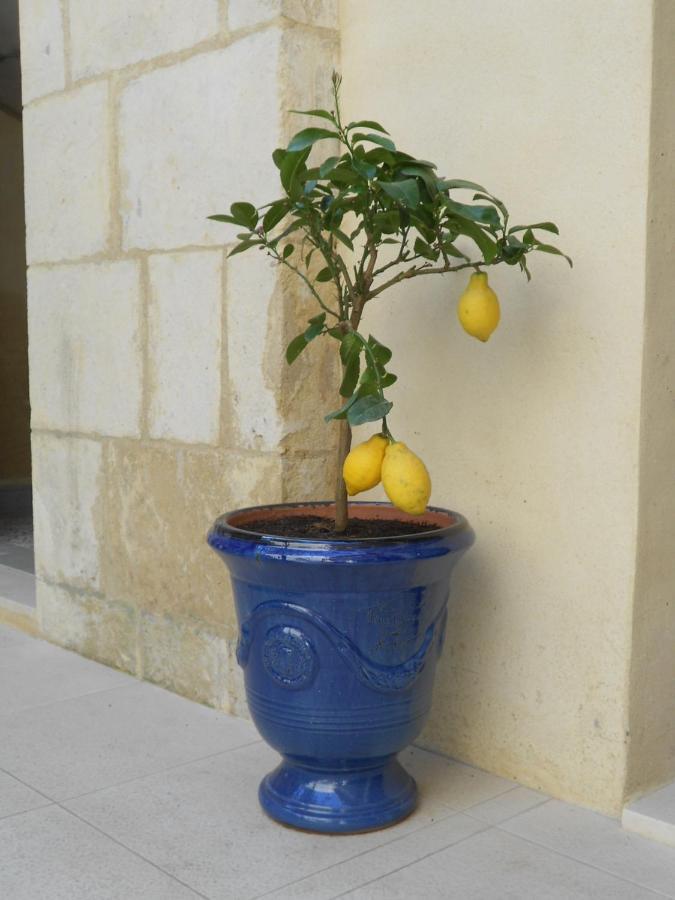 Bed and Breakfast Sous Le Neflier Nîmes Exterior foto
